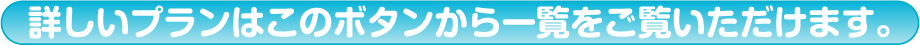 詳しいプランはこのボタンから一覧をご覧いただけます。